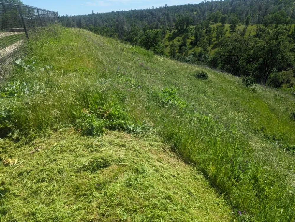 Expert landscaping services near you in Redding, CA by Londono Lawncare