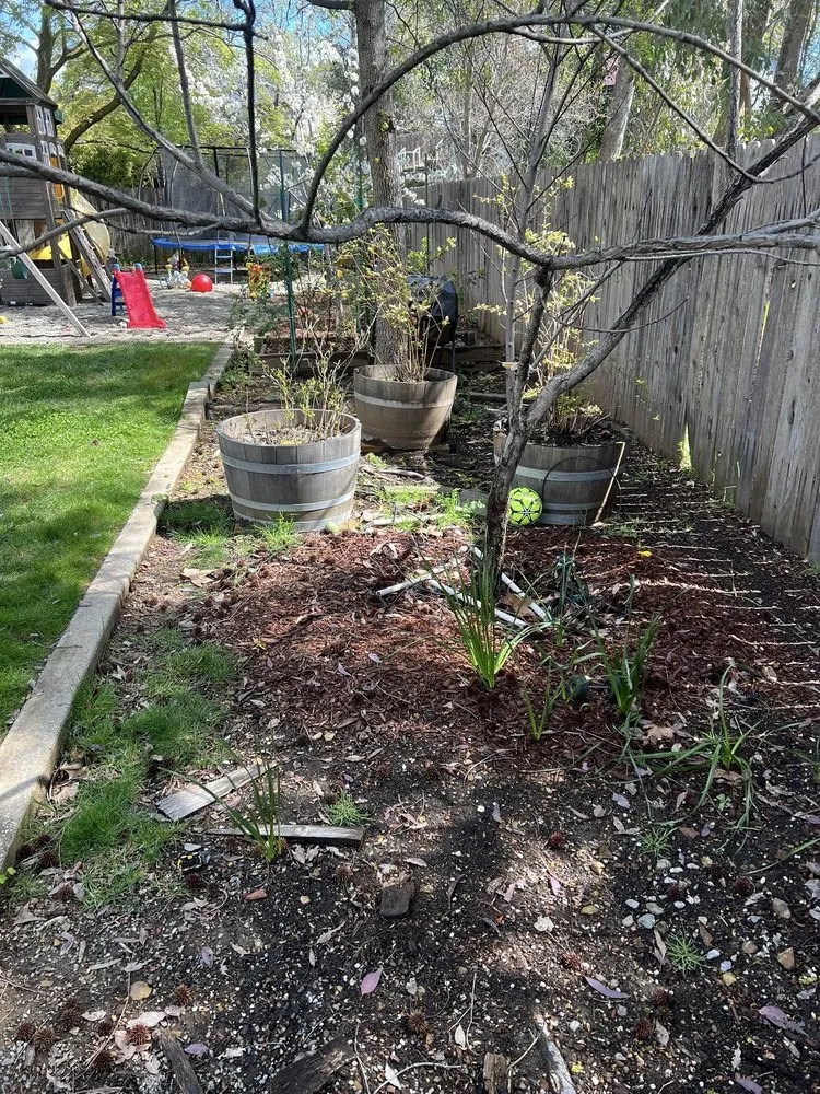 Professional outdoor landscaping in Redding, CA - Londono Lawncare