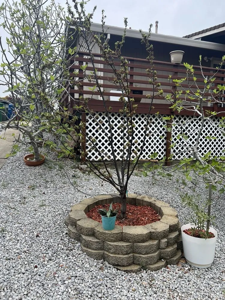 Trusted lawn care service in Redding, CA - Londono Lawncare