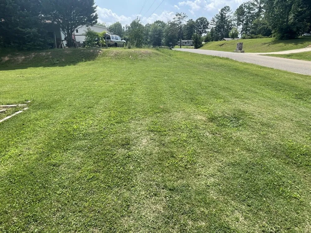 Local residential landscaping in Phenix City, AL by Londons Lawn