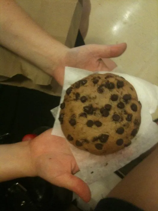 Affordable landscaping services near you in McMinnville, OR by Lone Fir Landscaping