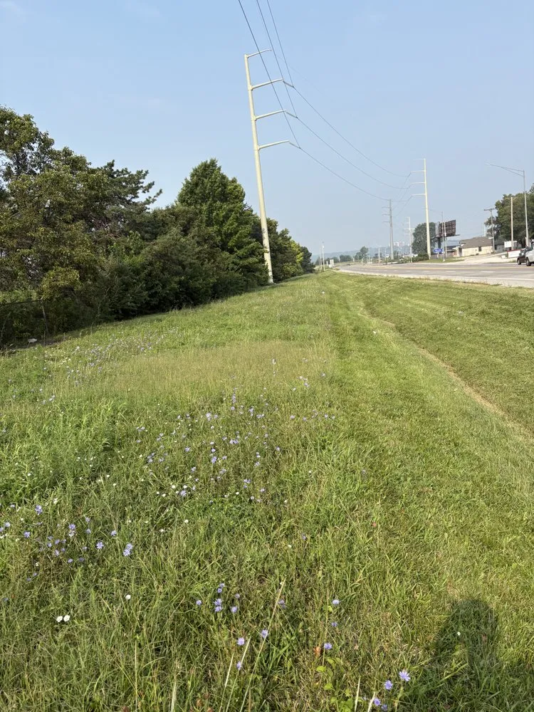 Affordable outdoor landscaping for beautiful yards across Lee's Summit, MO - Lone Maple Property Care