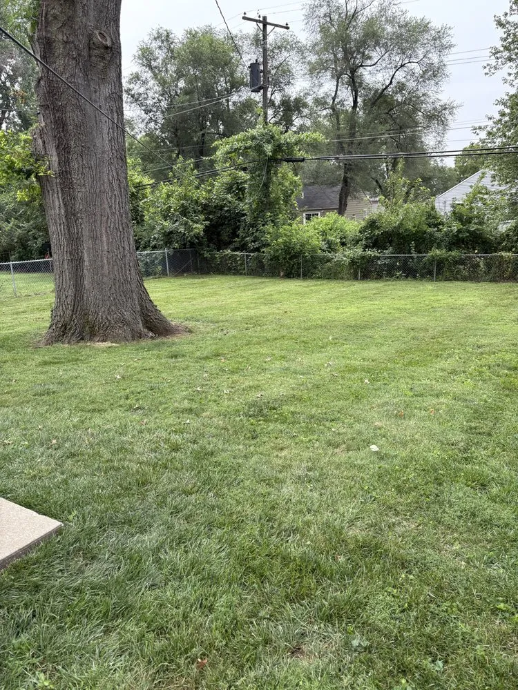 Trusted outdoor landscaping for beautiful yards across Lee's Summit, MO - Lone Maple Property Care