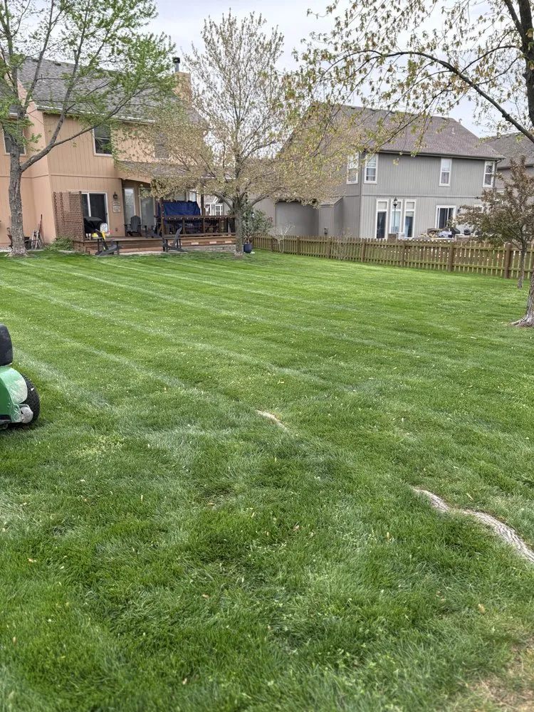 Local yard cleanup service for beautiful yards in Lee's Summit, MO by Lone Maple Property Care
