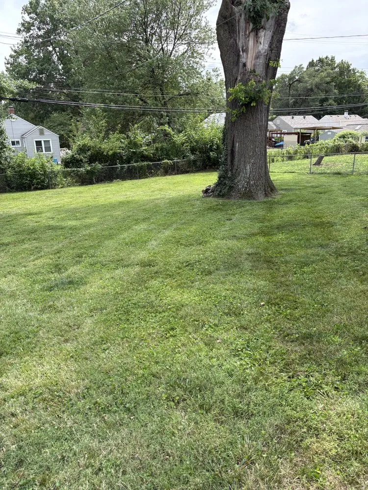 Custom garden landscaping in Lee's Summit, MO - Lone Maple Property Care