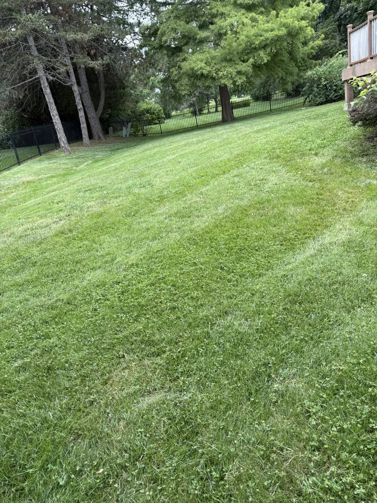 Reliable garden landscaping in Lee's Summit, MO by Lone Maple Property Care