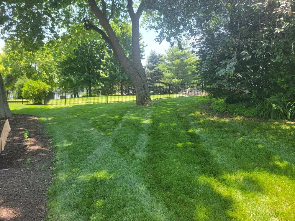 Affordable landscape installation in Lee's Summit, MO - Lone Maple Property Care