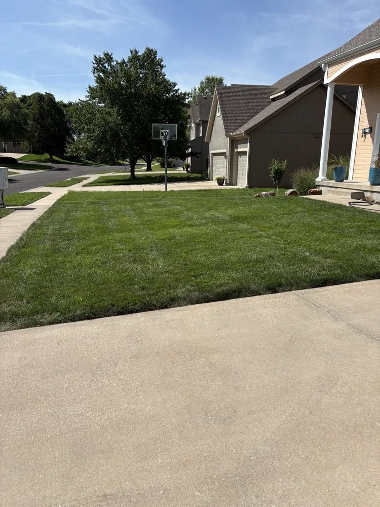 Professional yard cleanup service in Lee's Summit, MO by Lone Maple Property Care