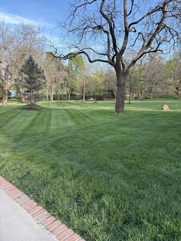 Trusted lawn mowing service in Lee's Summit, MO by Lone Maple Property Care