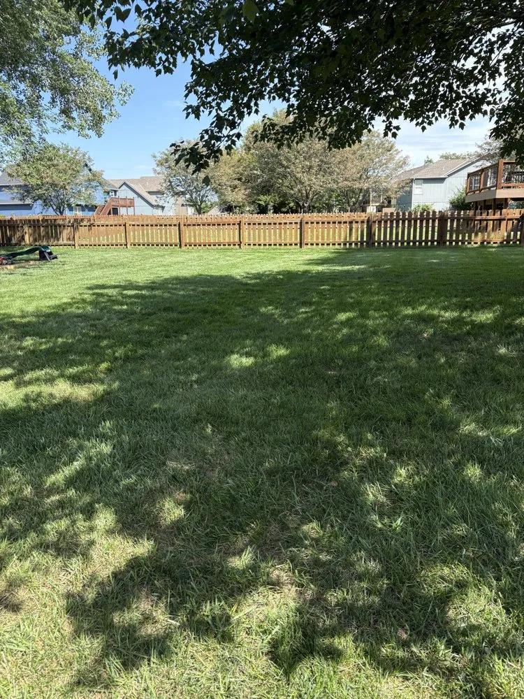 Local yard cleanup service in Lee's Summit, MO - Lone Maple Property Care