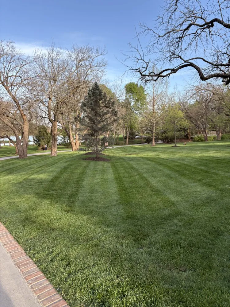 Custom yard cleanup service in Lee's Summit, MO by Lone Maple Property Care