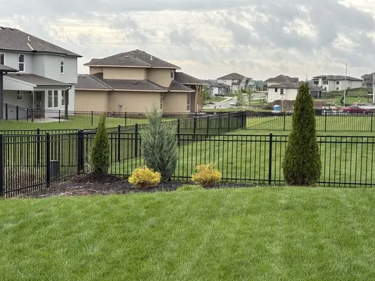 Lone Maple Property Care Logo