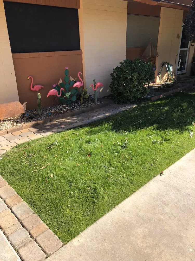 Professional residential landscaping in Phoenix, AZ - Lone Mountain Landscaping
