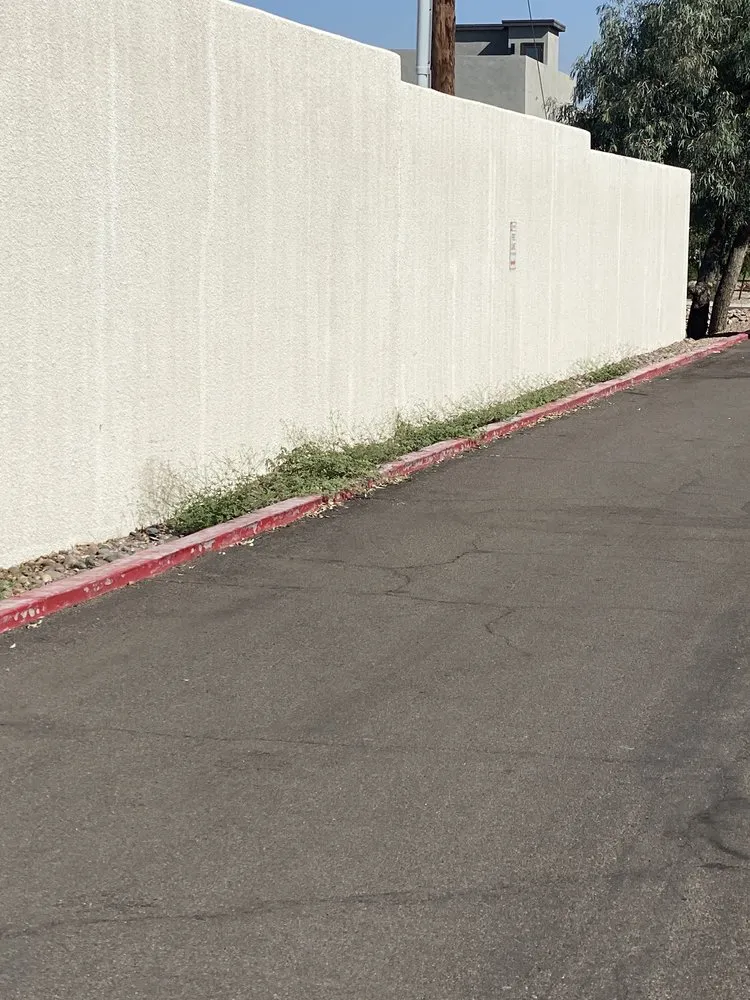 Custom yard cleanup service for homes in Phoenix, AZ by Lone Mountain Landscaping