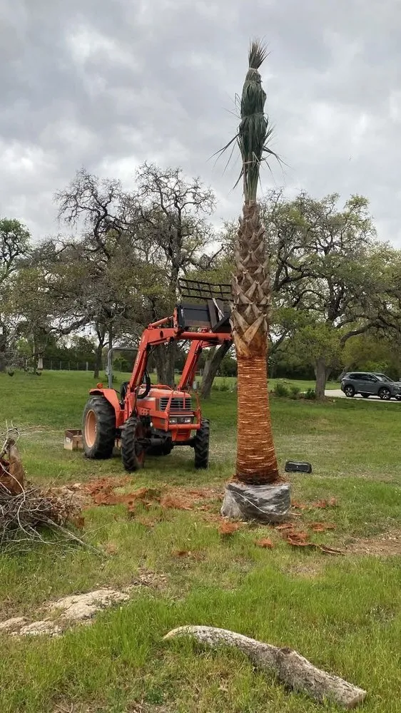 Expert outdoor landscaping in New Braunfels, TX by Lone Oak Tree Care