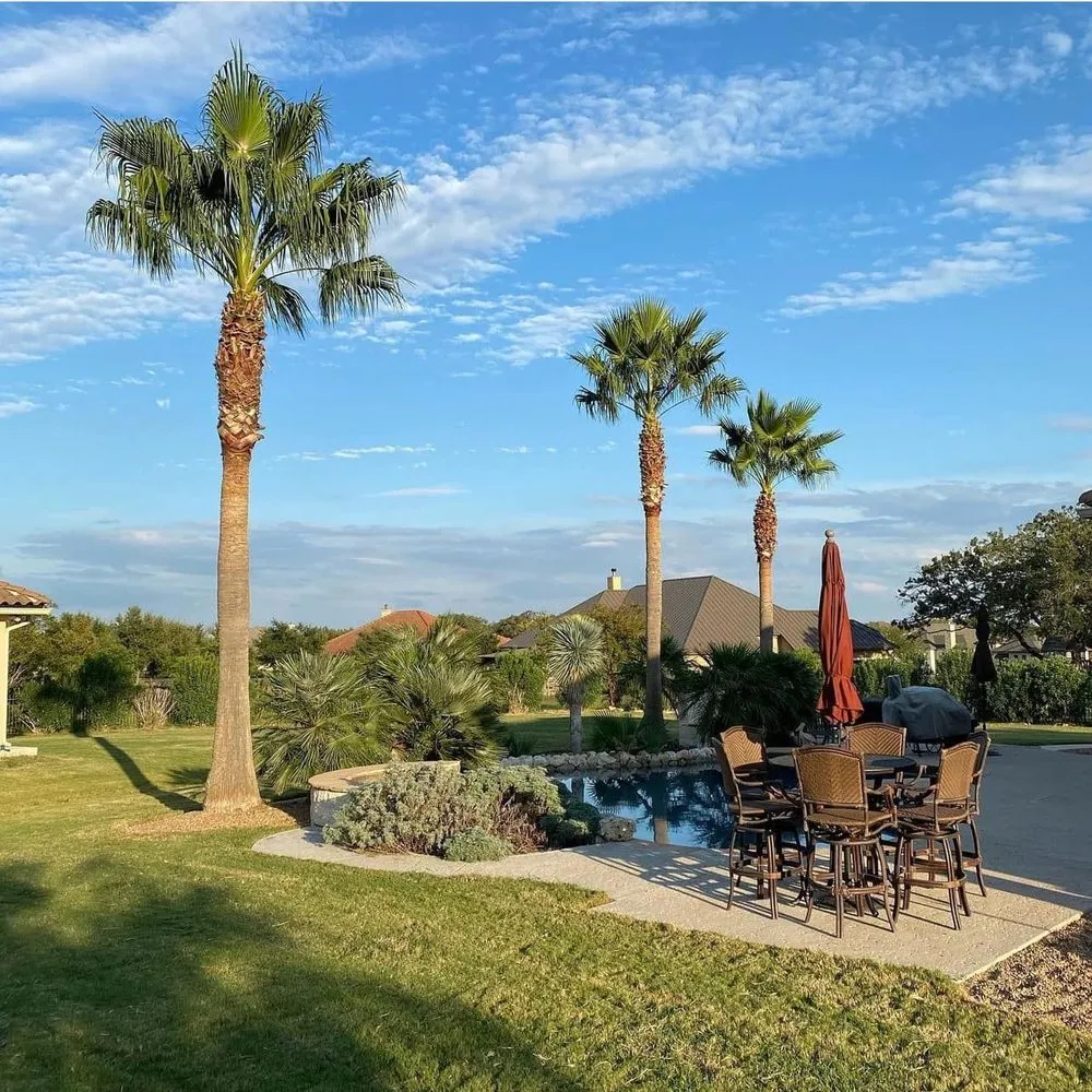 Reliable landscape installation in New Braunfels, TX - Lone Oak Tree Care