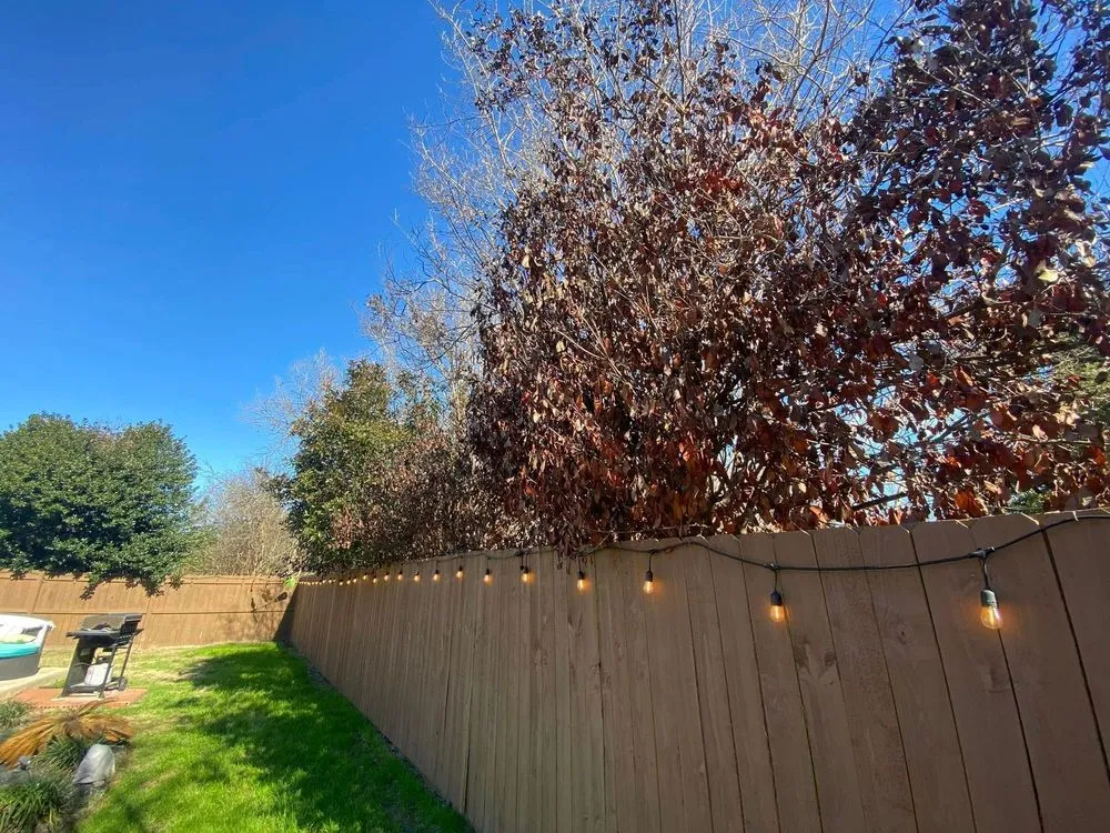 Professional landscaping services in New Braunfels, TX by Lone Oak Tree Care