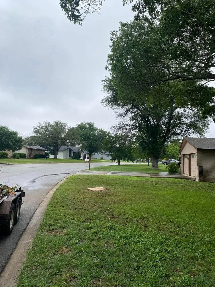 Local lawn mowing service experts serving New Braunfels, TX - Lone Oak Tree Care