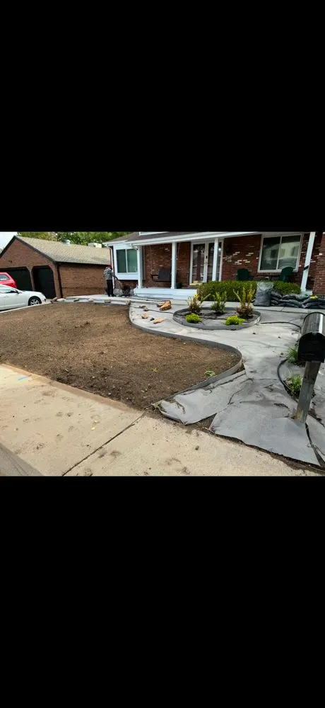 Trusted lawn care service for year-round maintenance across Broomfield, CO - Lone Pine