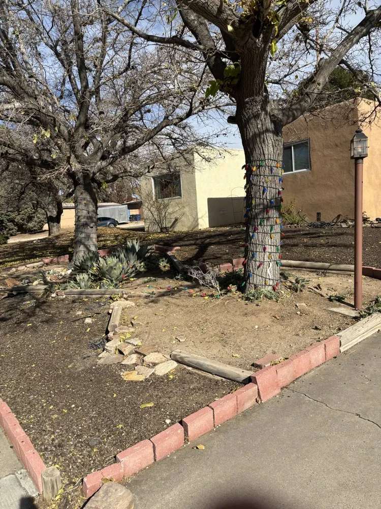 Local landscaping services in Albuquerque, NM - Lone Pine Home Service