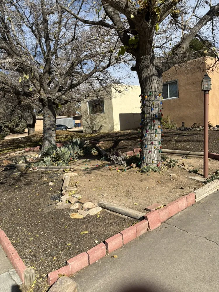 Custom residential landscaping experts serving Albuquerque, NM - Lone Pine Home Service