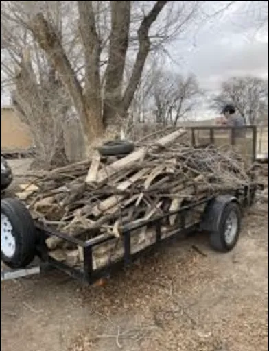 Trusted yard maintenance experts serving Albuquerque, NM - Lone Pine Home Service