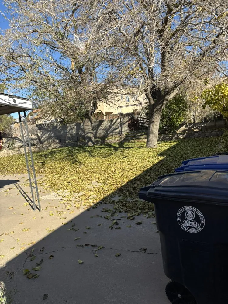 Top-rated garden landscaping with custom design in Albuquerque, NM by Lone Pine Home Service