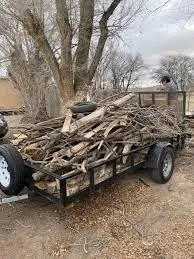 Professional landscaping services with custom design in Albuquerque, NM by Lone Pine Home Service