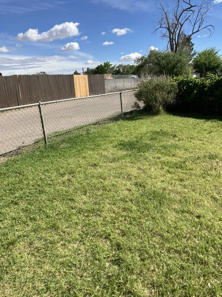 Reliable landscape design for year-round maintenance across Albuquerque, NM - Lone Pine Home Service