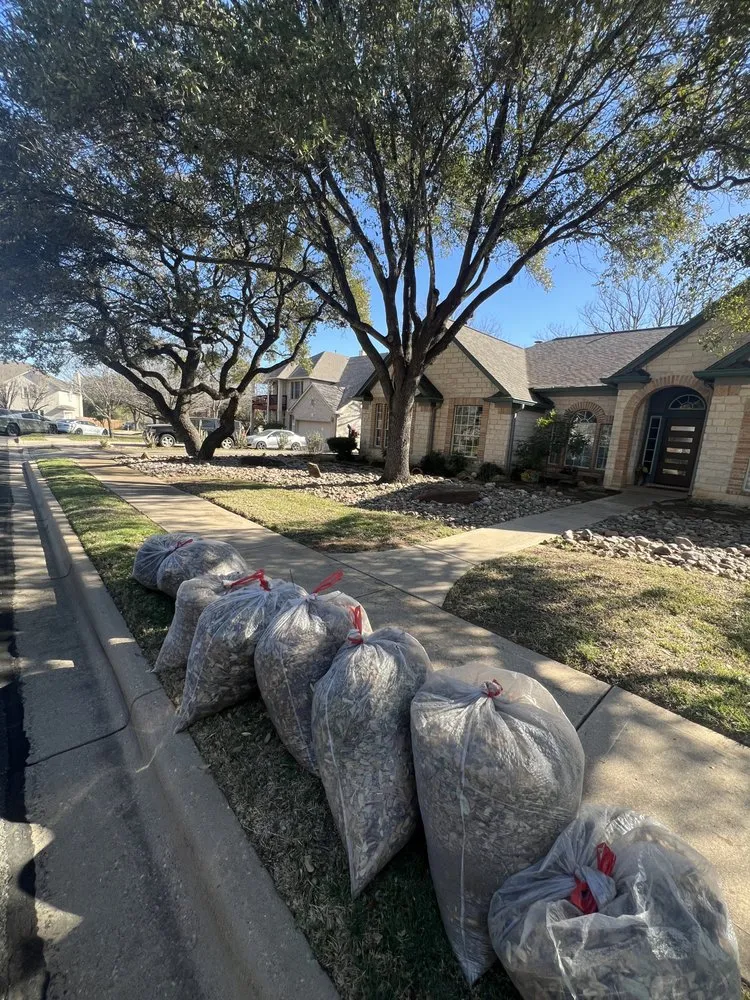 Reliable garden landscaping for outdoor upgrades in Kyle, TX by Lone Star Bluebonnet