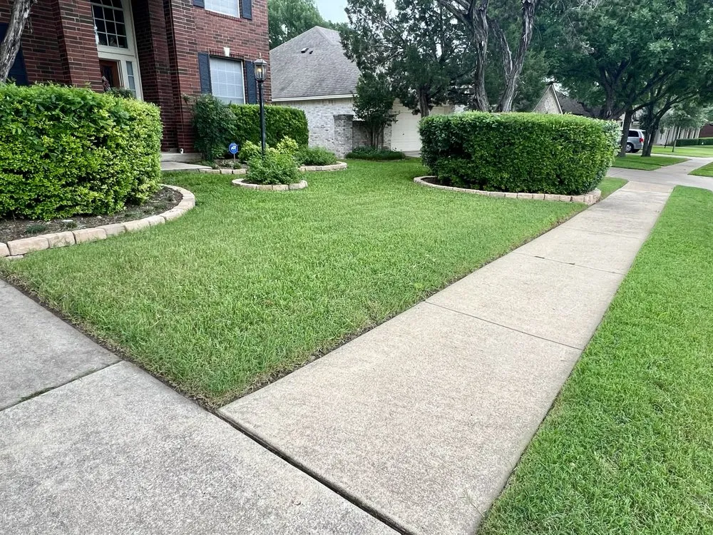 Custom landscape design in Kyle, TX by Lone Star Bluebonnet