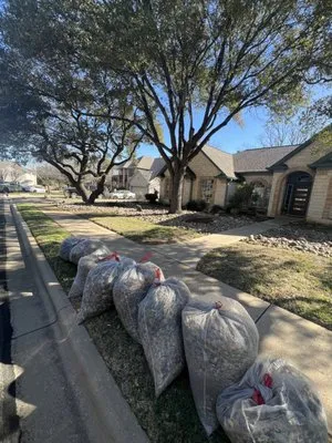 Lone Star Bluebonnet Logo