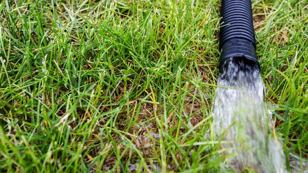 Top-rated garden landscaping in Austin, TX - Lone Star Drainage