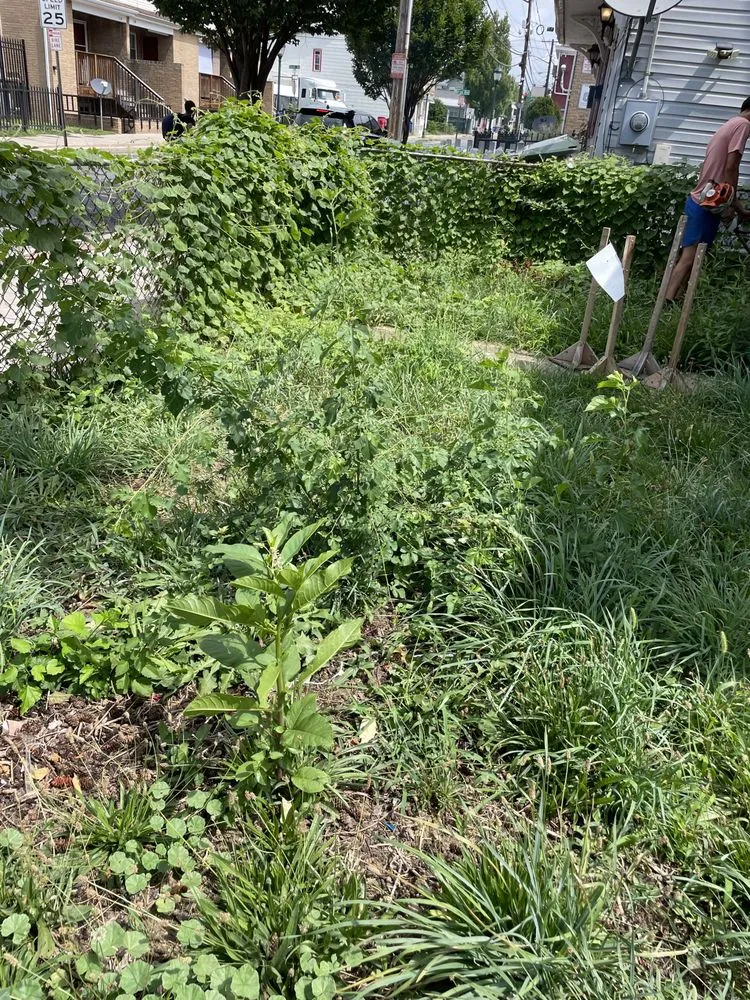 Trusted landscape design in Inwood, WV - Lone Star