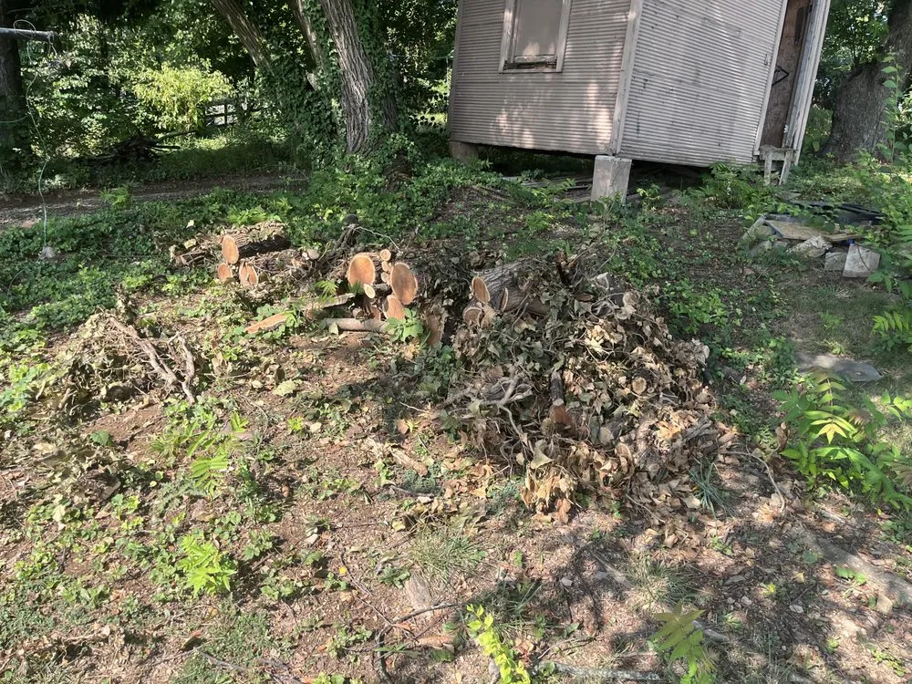 Affordable landscape installation experts serving Inwood, WV - Lone Star