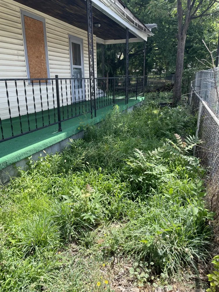 Reliable yard maintenance near you across Inwood, WV - Lone Star