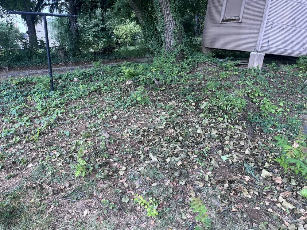 Affordable landscape installation for year-round maintenance across Inwood, WV - Lone Star