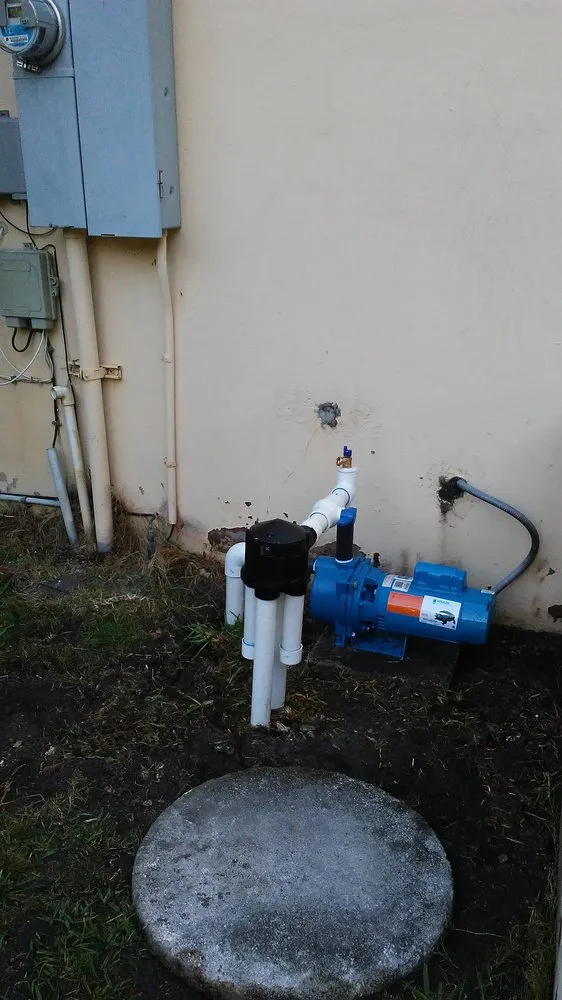 Expert lawn care service for year-round maintenance in Miami, FL by Lone Star Irrigation and Landscaping