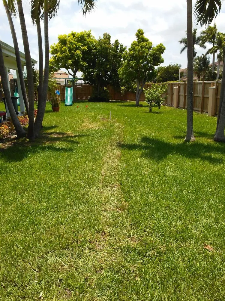 Custom landscaping services in Miami, FL by Lone Star Irrigation and Landscaping