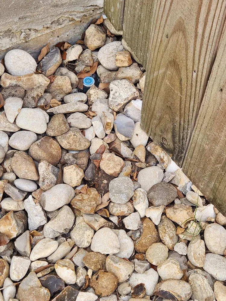 Affordable residential landscaping for beautiful yards in San Antonio, TX by Lone Star Landscaping and Tree Service