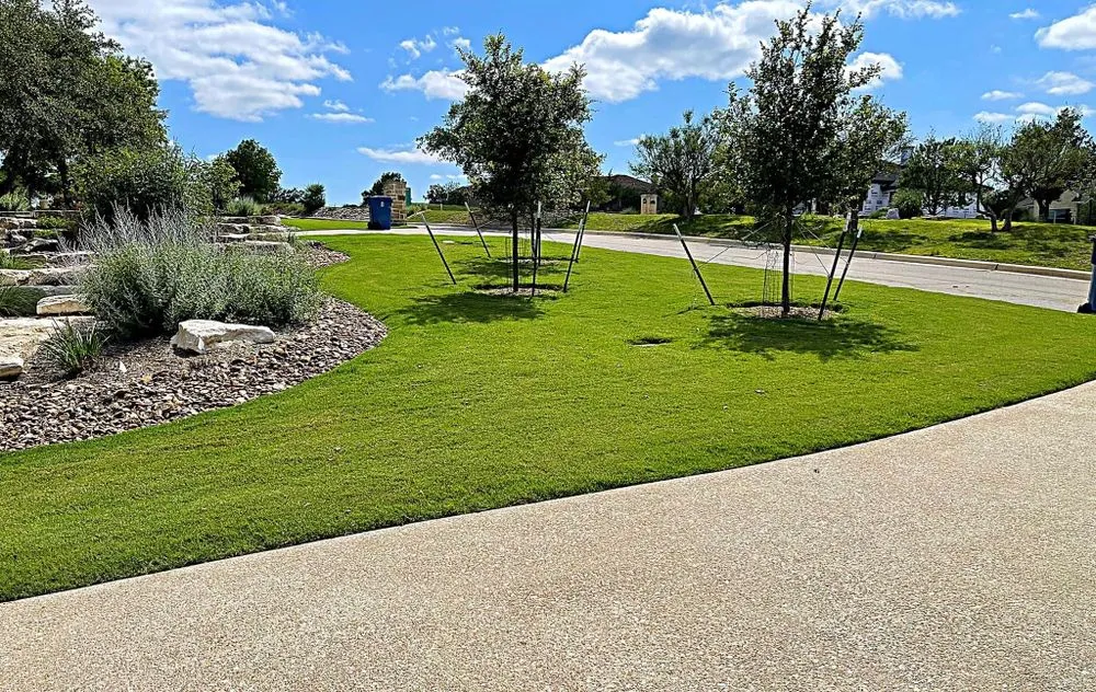 Professional yard cleanup service in Kerrville, TX by Lone Star Landscaping