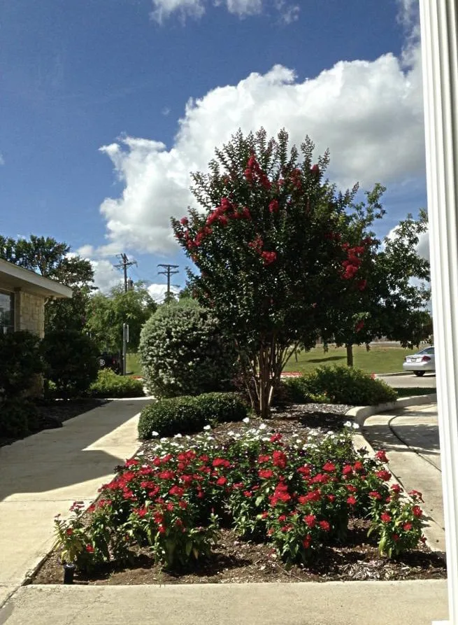 Local lawn care service in Kerrville, TX - Lone Star Landscaping