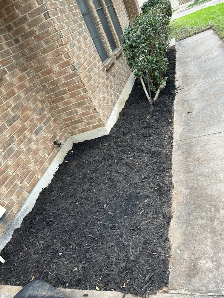 Top-rated lawn care service in Denton, TX by Lone Star Lawn Care