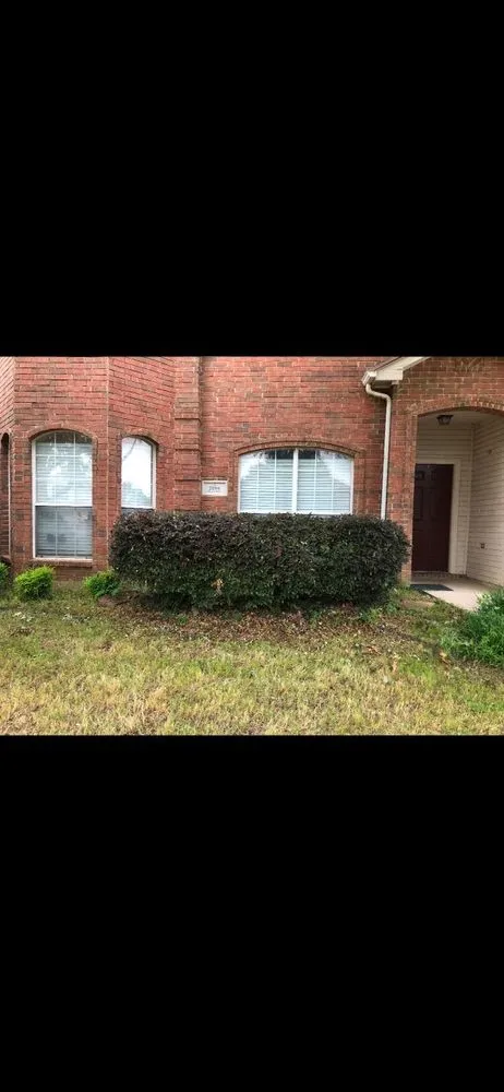 Professional lawn mowing service in Denton, TX - Lone Star Lawn Care