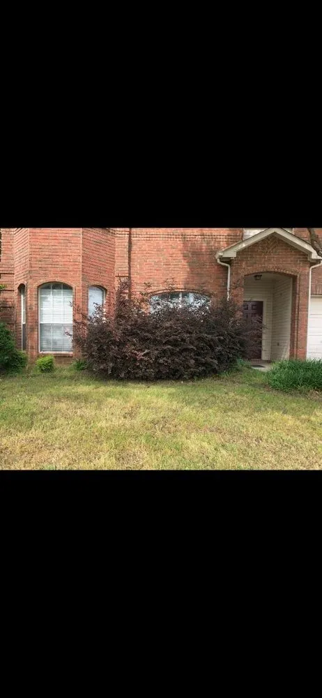 Local garden landscaping experts serving Denton, TX - Lone Star Lawn Care