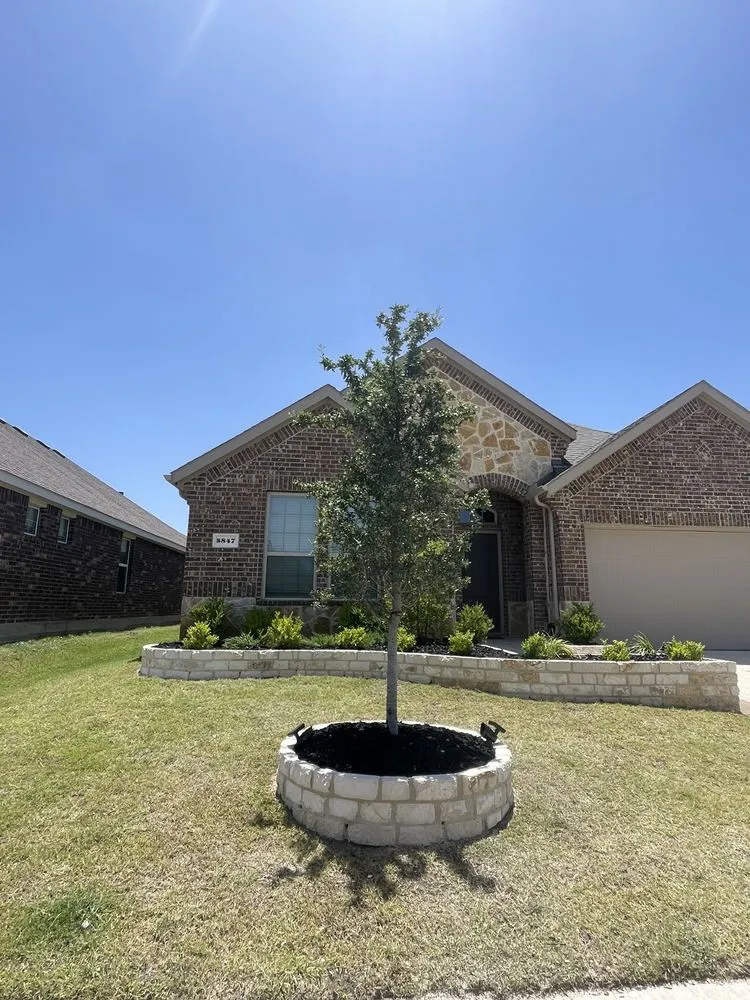 Professional landscaping services for outdoor upgrades across Forney, TX - Lone Star Lawn Care
