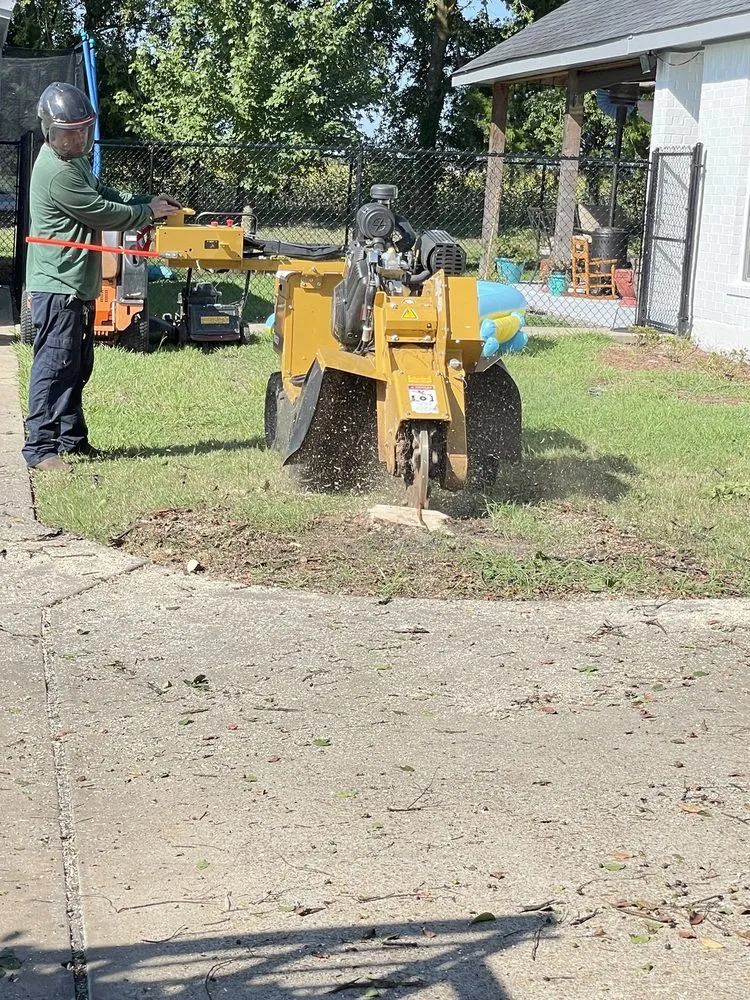 Custom yard cleanup service experts serving Forney, TX - Lone Star Lawn Care