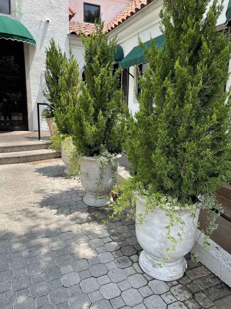 Expert garden landscaping in Forney, TX by Lone Star Lawn Care