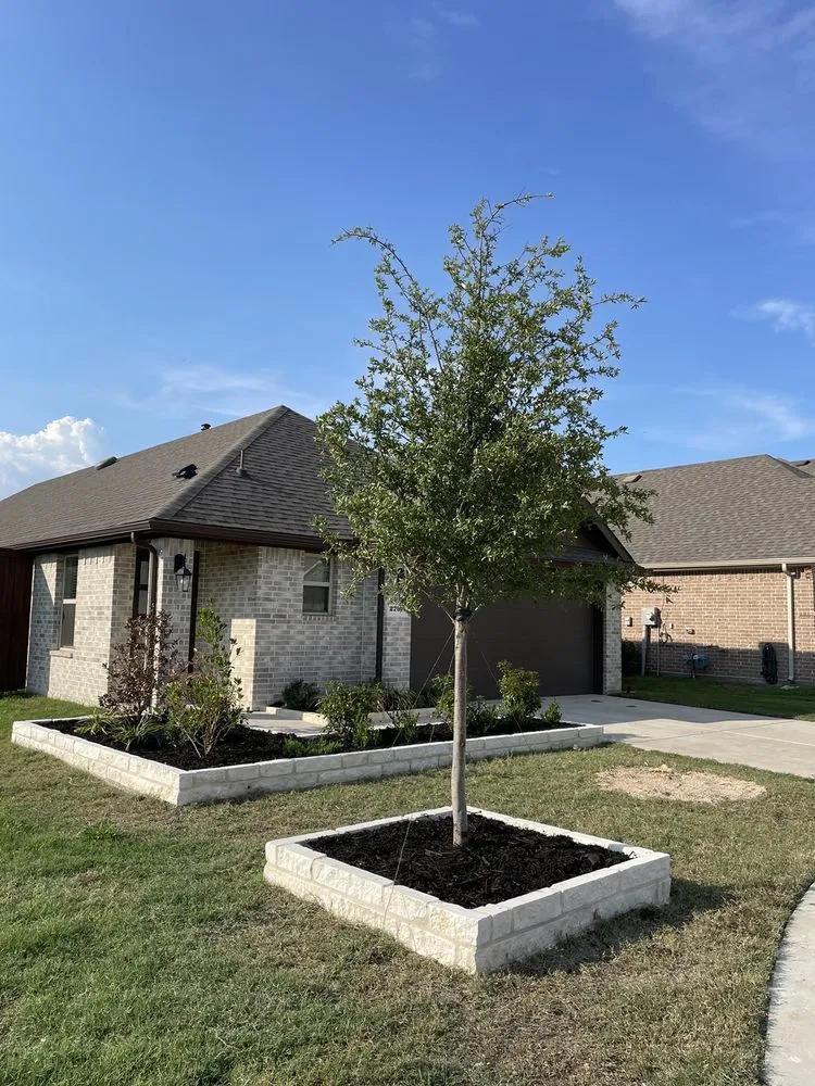 Top-rated landscape installation for beautiful yards across Forney, TX - Lone Star Lawn Care