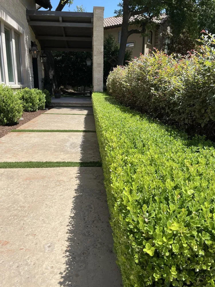 Local yard maintenance experts serving McKinney, TX - Lone Star Lawn